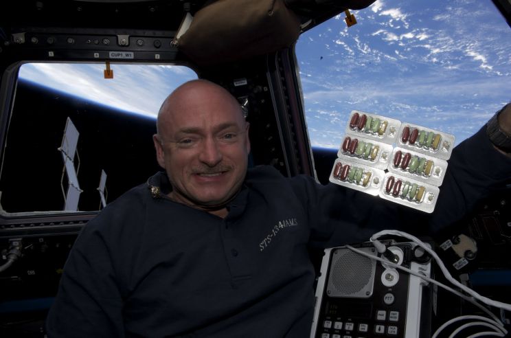 Mark Kelly