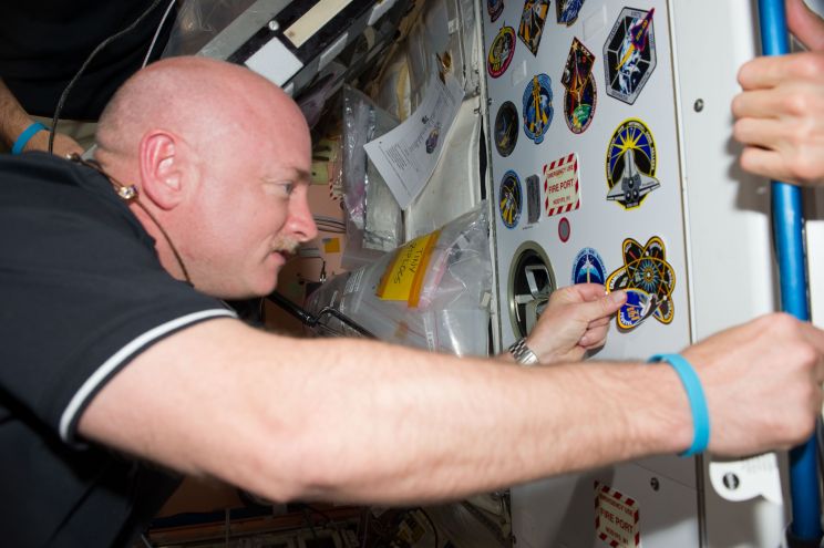 Mark Kelly