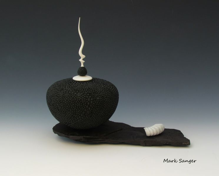 Mark Sanger