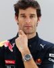 Mark Webber