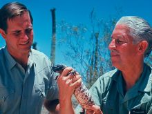 Marlin Perkins