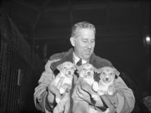 Marlin Perkins