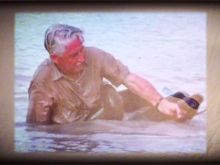 Marlin Perkins