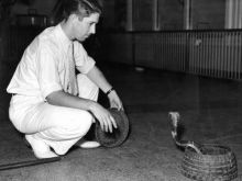 Marlin Perkins