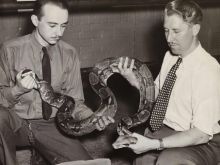 Marlin Perkins