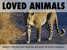 Marlin Perkins
