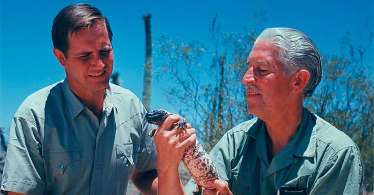 Marlin Perkins