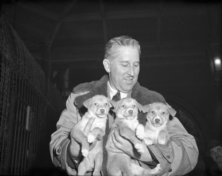 Marlin Perkins