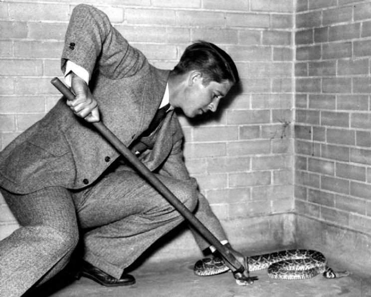 Marlin Perkins
