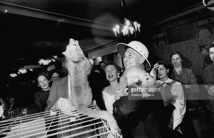 Marlin Perkins