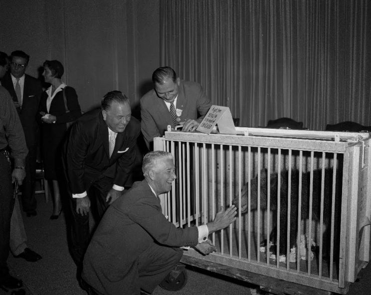 Marlin Perkins
