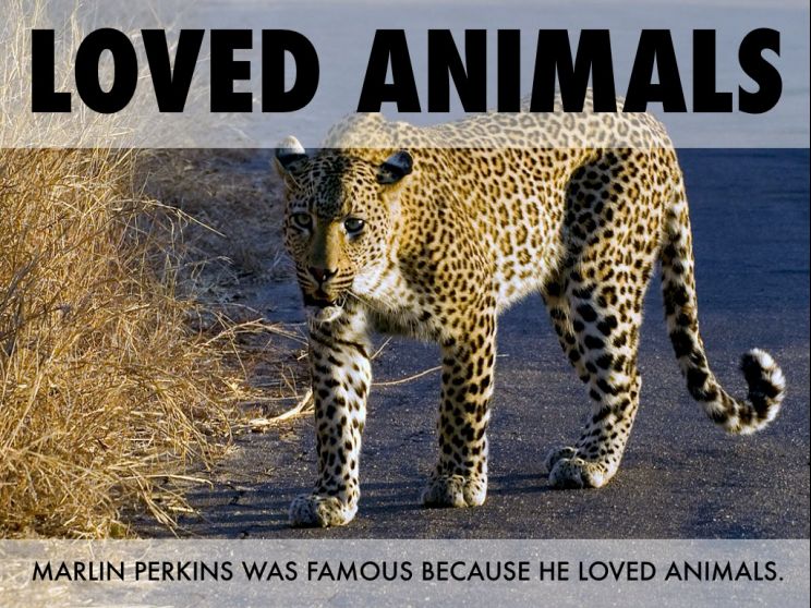 Marlin Perkins