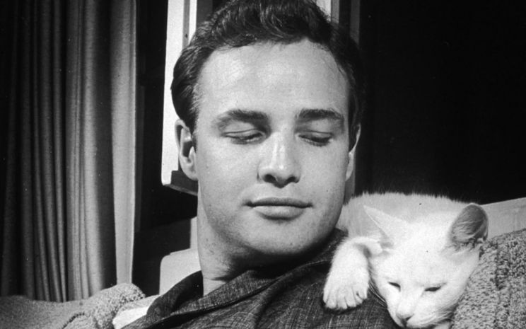 Marlon Brando