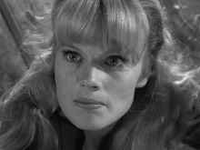 Marta Kristen
