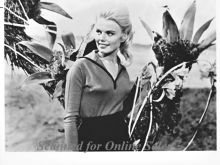 Marta Kristen