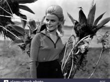 Marta Kristen