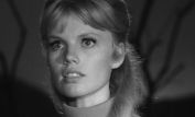 Marta Kristen