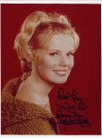 Marta Kristen