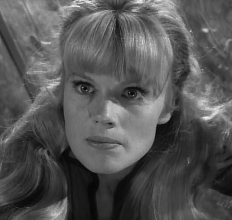 Marta Kristen