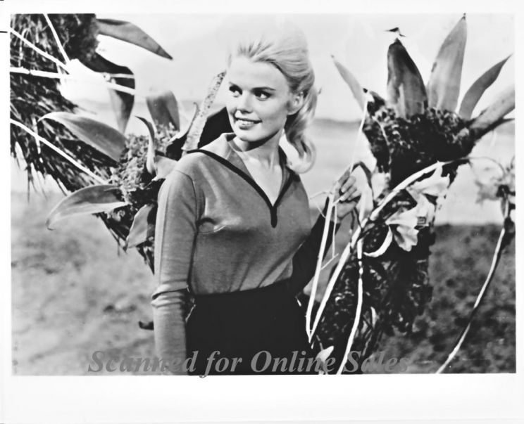 Marta Kristen