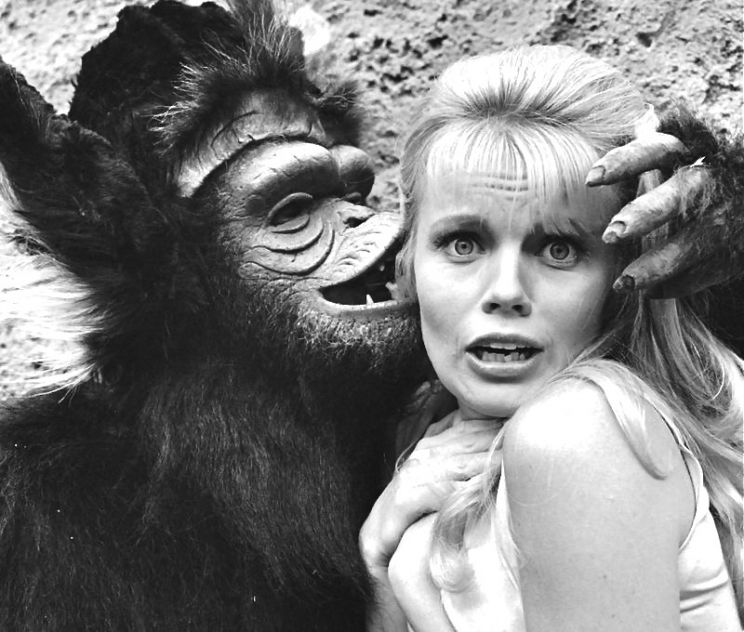 Marta Kristen