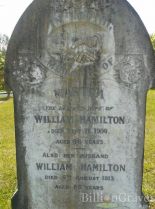 Martha Hamilton