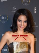 Martha Higareda