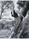 Martha Hyer