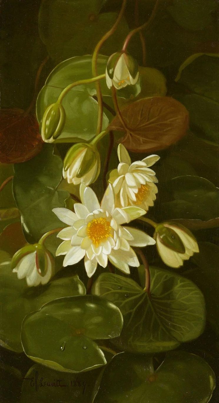 Martha Nairn