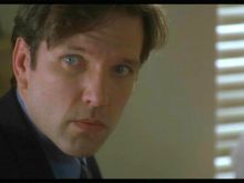 Martin Donovan