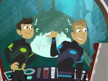 Martin Kratt #2016627 picture (Landscape Medium)