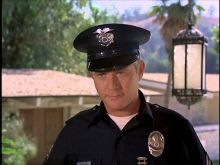 Martin Milner