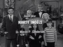 Marty Ingels