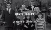 Marty Ingels