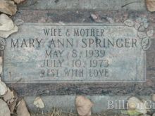 Mary Ann Springer