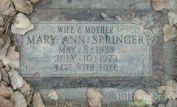 Mary Ann Springer