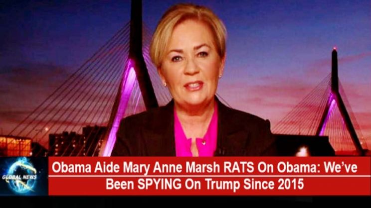 Mary Anne Marsh