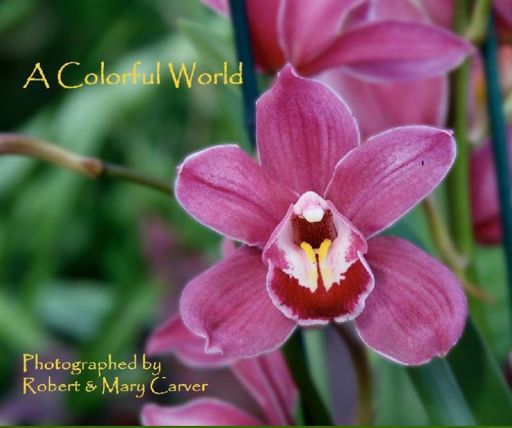 Mary Carver