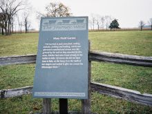 Mary Field