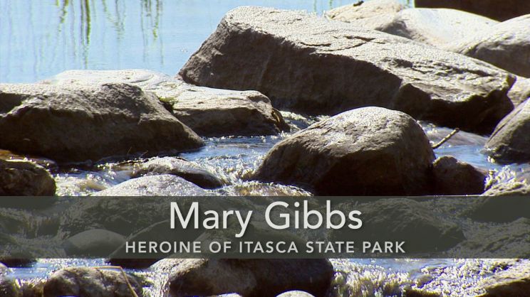 Mary Gibbs Mary Gibbs