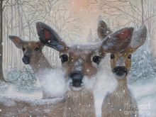 Mary Hughes