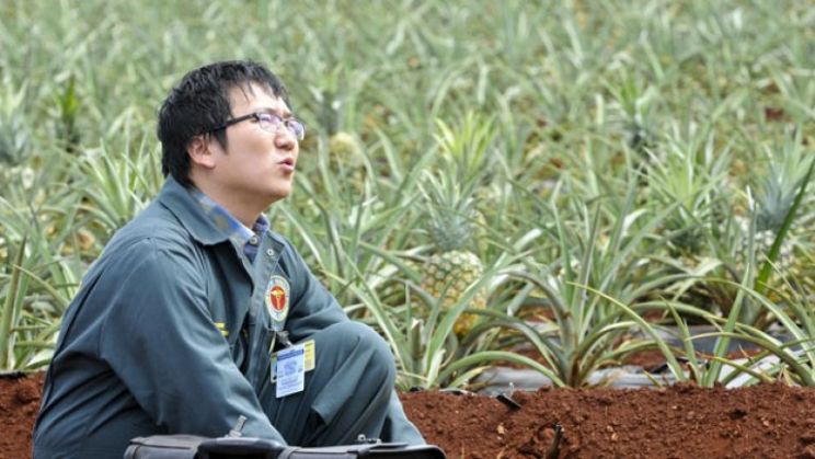 Masi Oka