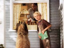 Mason Gamble photo