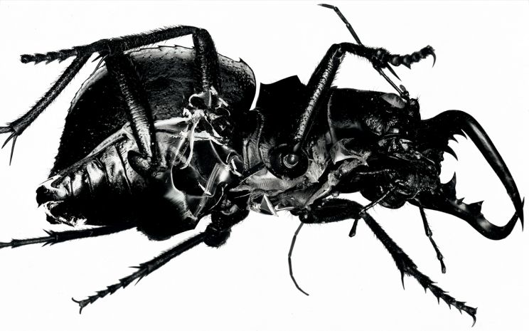 Massive Attack