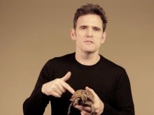 Matt Dillon