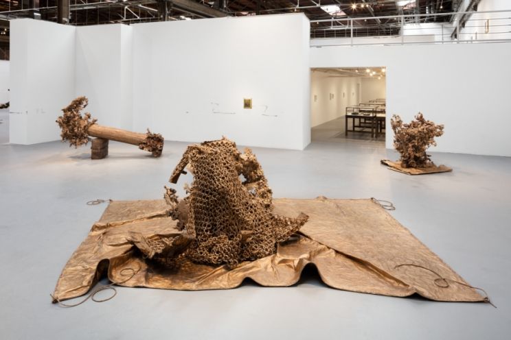 Matthew Barney