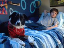 Matthew Knight