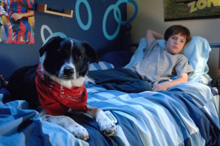 Matthew Knight