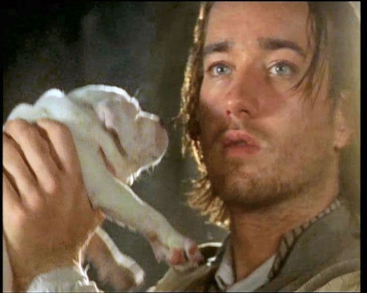 Matthew Macfadyen