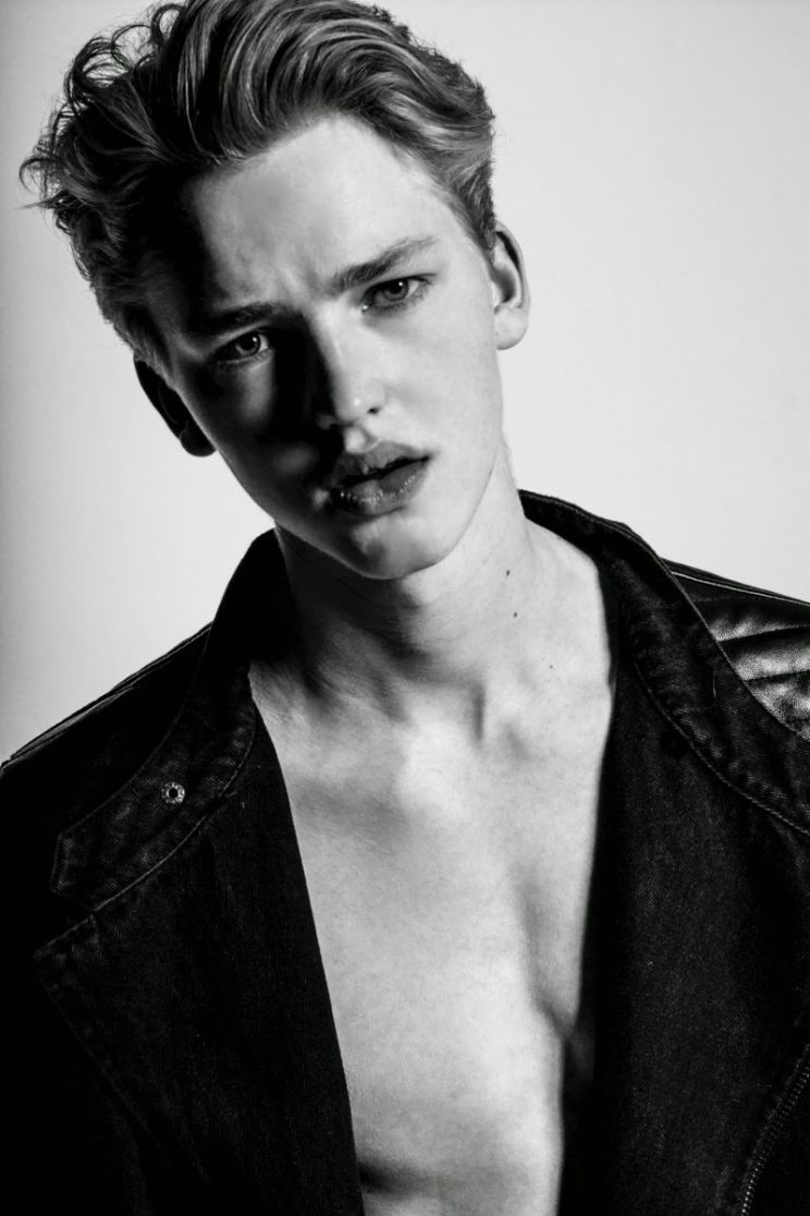 Matthew Werkmeister